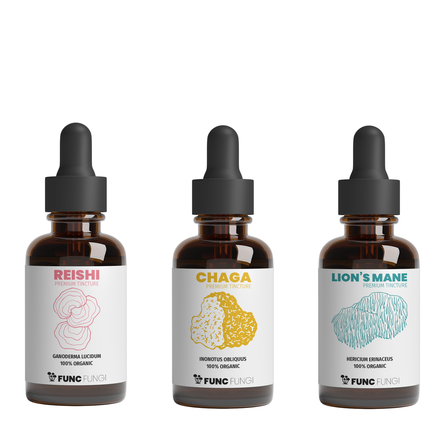 Startpaket chaga, reishi, lions mane -tinkturer