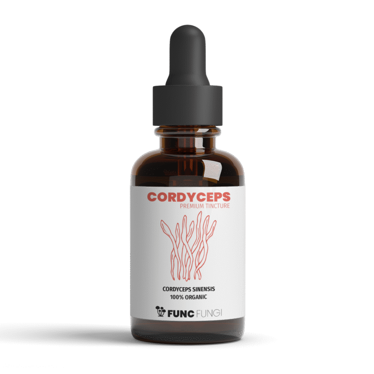 Cordyceps tinktur